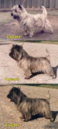 Same Cairn at Different Ages