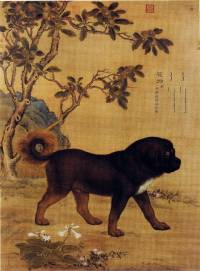 Thibet Mastiff c 1700